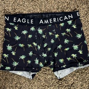 American Eagle L Classic Boxer Briefs